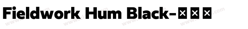 Fieldwork Hum Black字体转换